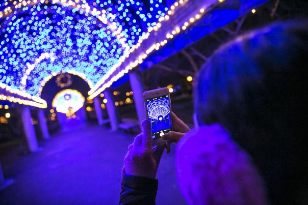 Trellis at Christopher Columbus Park lit for the Holiday Season