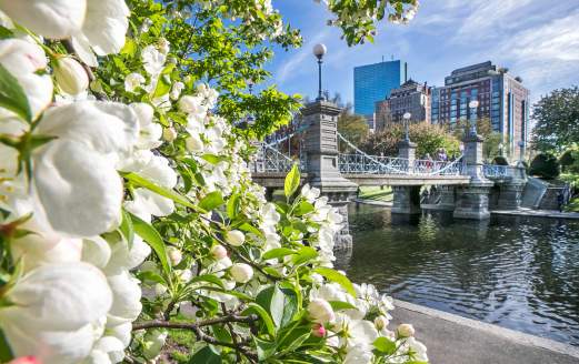 PublicGarden_KyleKlein_KK4_3406