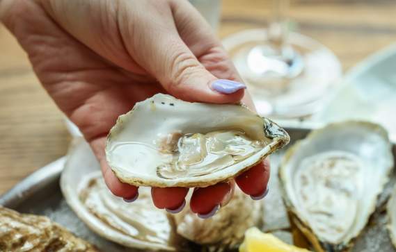 Oysters at The Banks