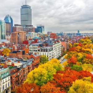 Commonwealth Ave in Fall