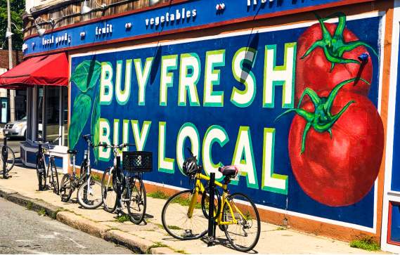 Boston Neighborhoods: Jamaica Plain, Roxbury & Dorchester