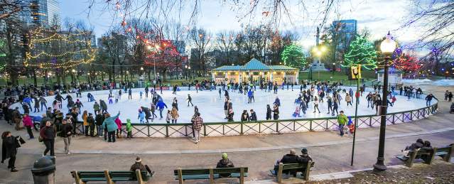 Frog Pond Ice Skating with Common Lights