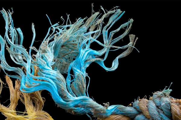 Castaway: The Afterlife of Plastic