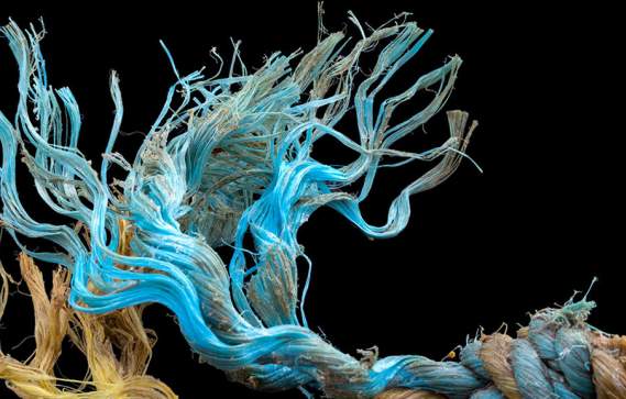 Castaway: The Afterlife of Plastic