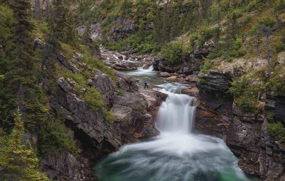 Knowing Nature: Stories of the Boreal Forest